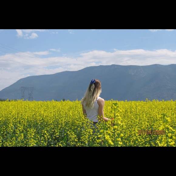 Meet your Posher, Kellybelle - Picture 1 of 1